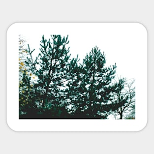 Graphic-Tree Sticker